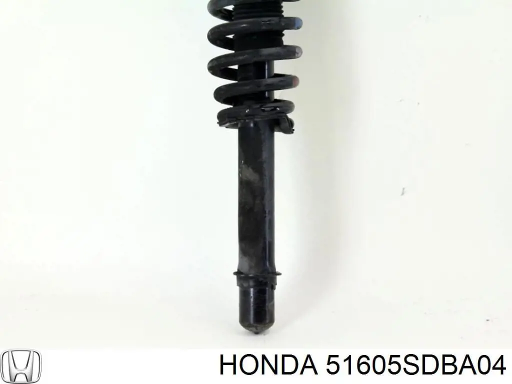 51605SDBA04 Honda amortiguador delantero