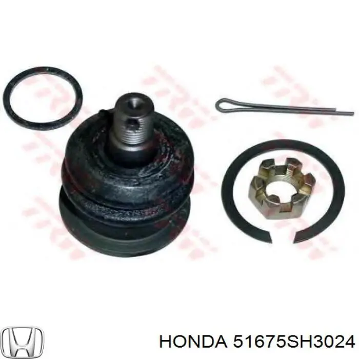 Soporte del amortiguador delantero Honda 51675SH3024 precio, desde  EUR