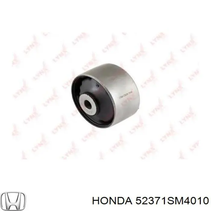 52371SM4010 Honda mangueta trasera derecha (suspension)