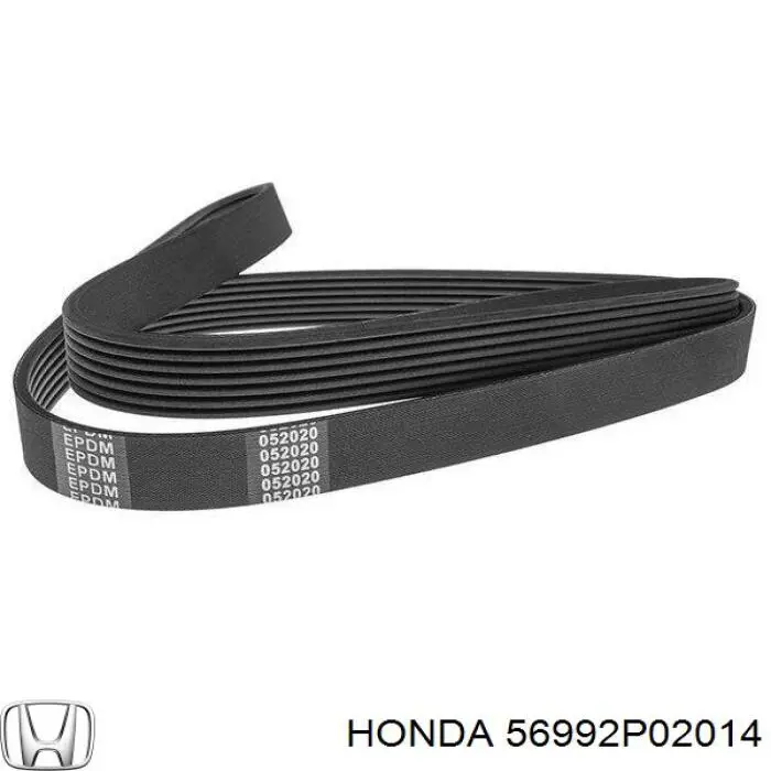 56992-P02-014 Honda correa trapezoidal