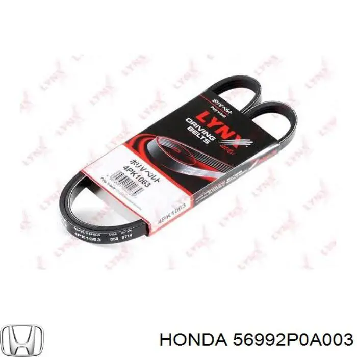 56992P0A003 Honda correa trapezoidal
