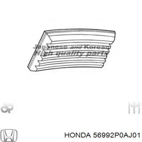 Correa de alternador 56992P0AJ01 Honda