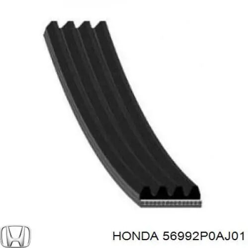 56992P0AJ01 Honda Correa poly v