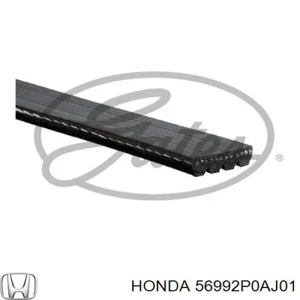 Comprar 56992P0AJ01 Honda Correa trapezoidal