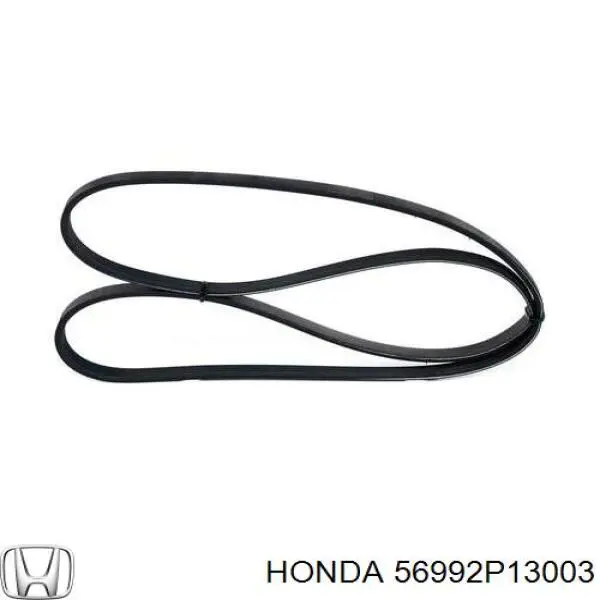 Correa de alternador 56992P13003 Honda