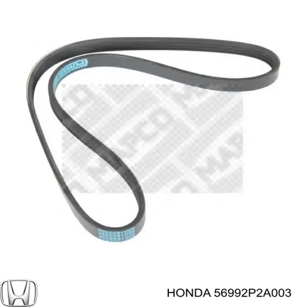 Correa de alternador 56992P2A003 Honda