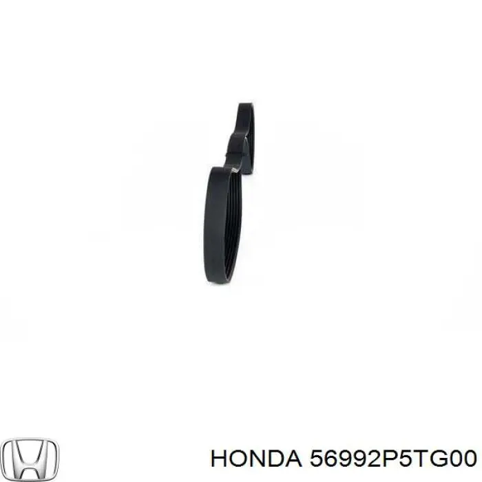 Comprar 56992P5TG00 Honda Correa trapezoidal