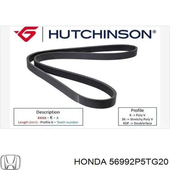 56992P5TG20 Honda correa trapezoidal