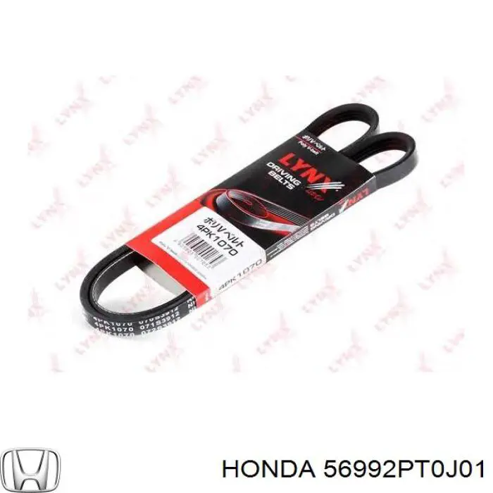 Correa de transmisión trapezoidal Honda 56992PT0J01 precio, desde 6,75 EUR