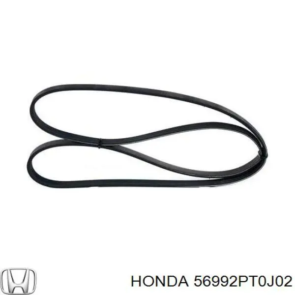 Correa de alternador 56992PT0J02 Honda