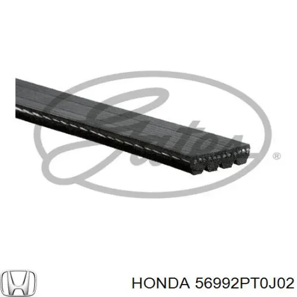 Comprar 56992PT0J02 Honda Correa trapezoidal