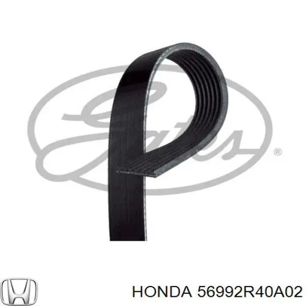 56992R40A02 Honda Correa poly v