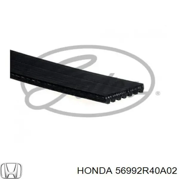 Correa de transmisión trapezoidal Honda 56992R40A02 precio, desde 28,13 EUR