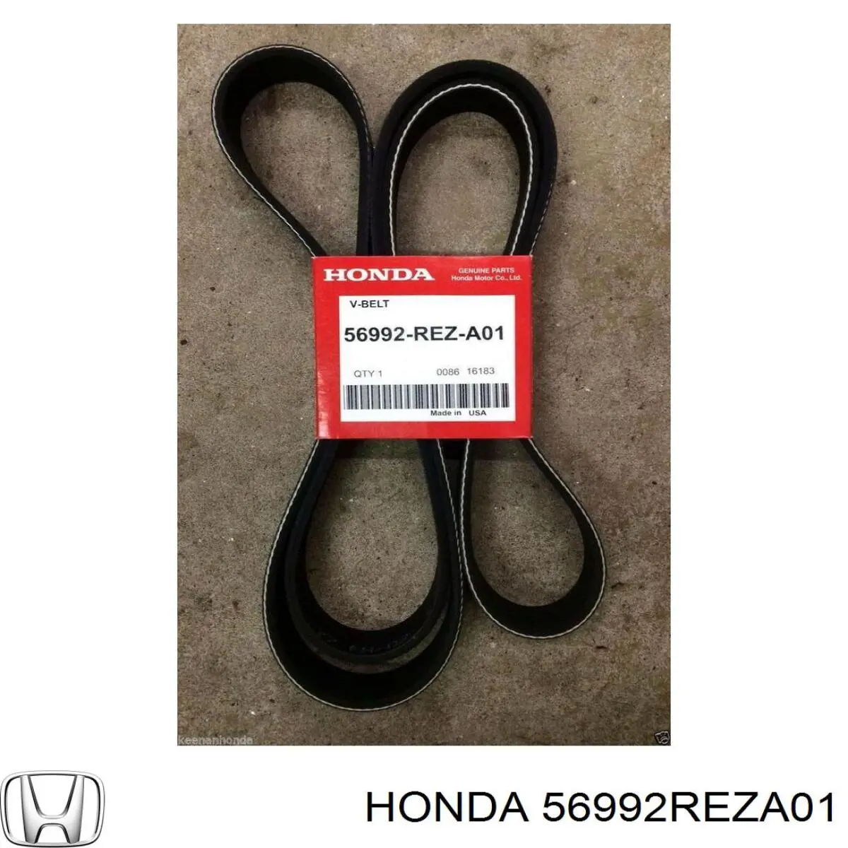 56992REZA01 Honda Correa poly v