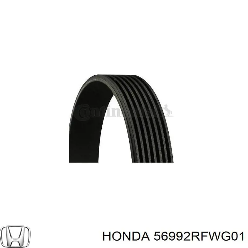 Correa de transmisión trapezoidal Honda 56992RFWG01 precio, desde 22,54 EUR