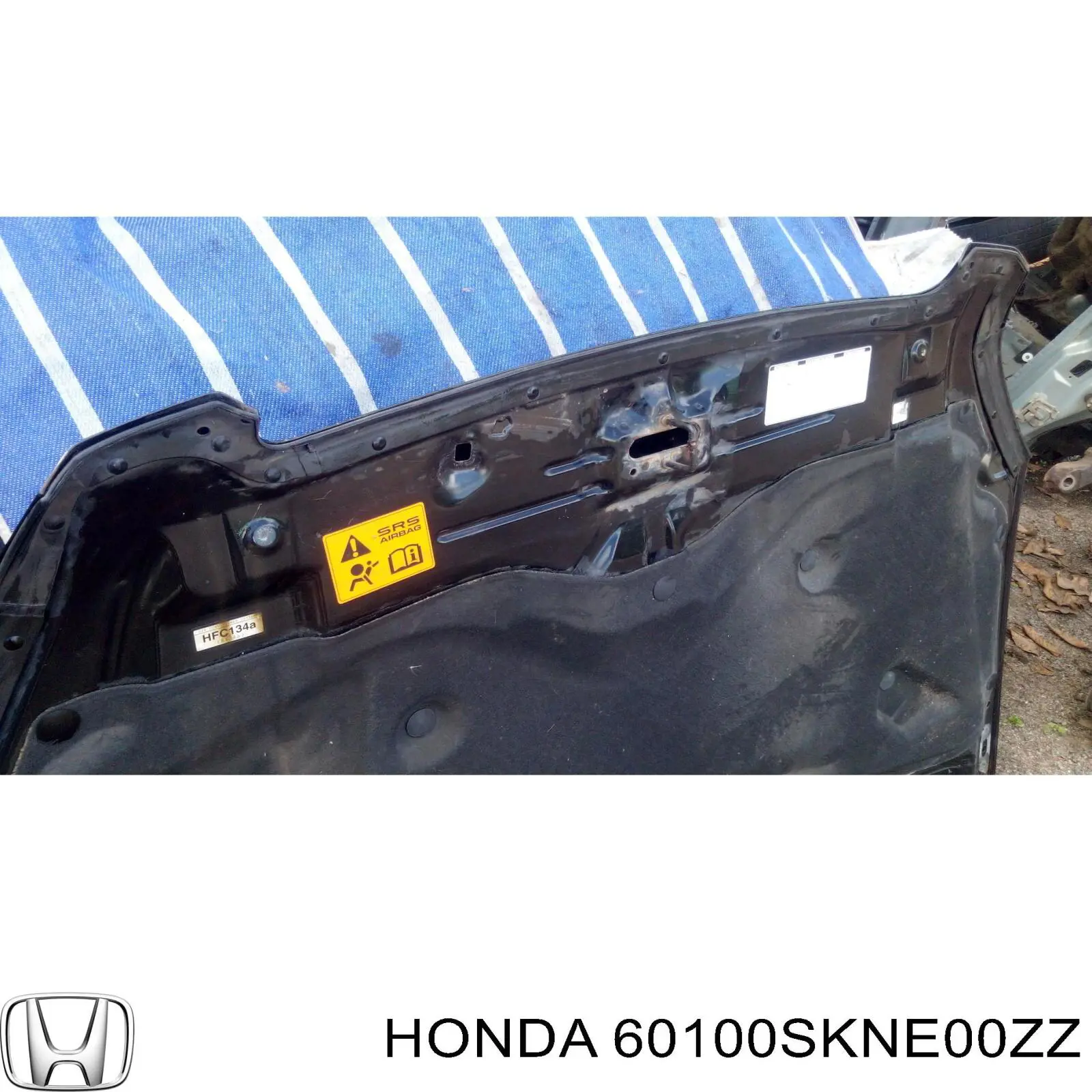 Capó del motor Honda 60100SKNE00ZZ precio, desde 185,13 EUR