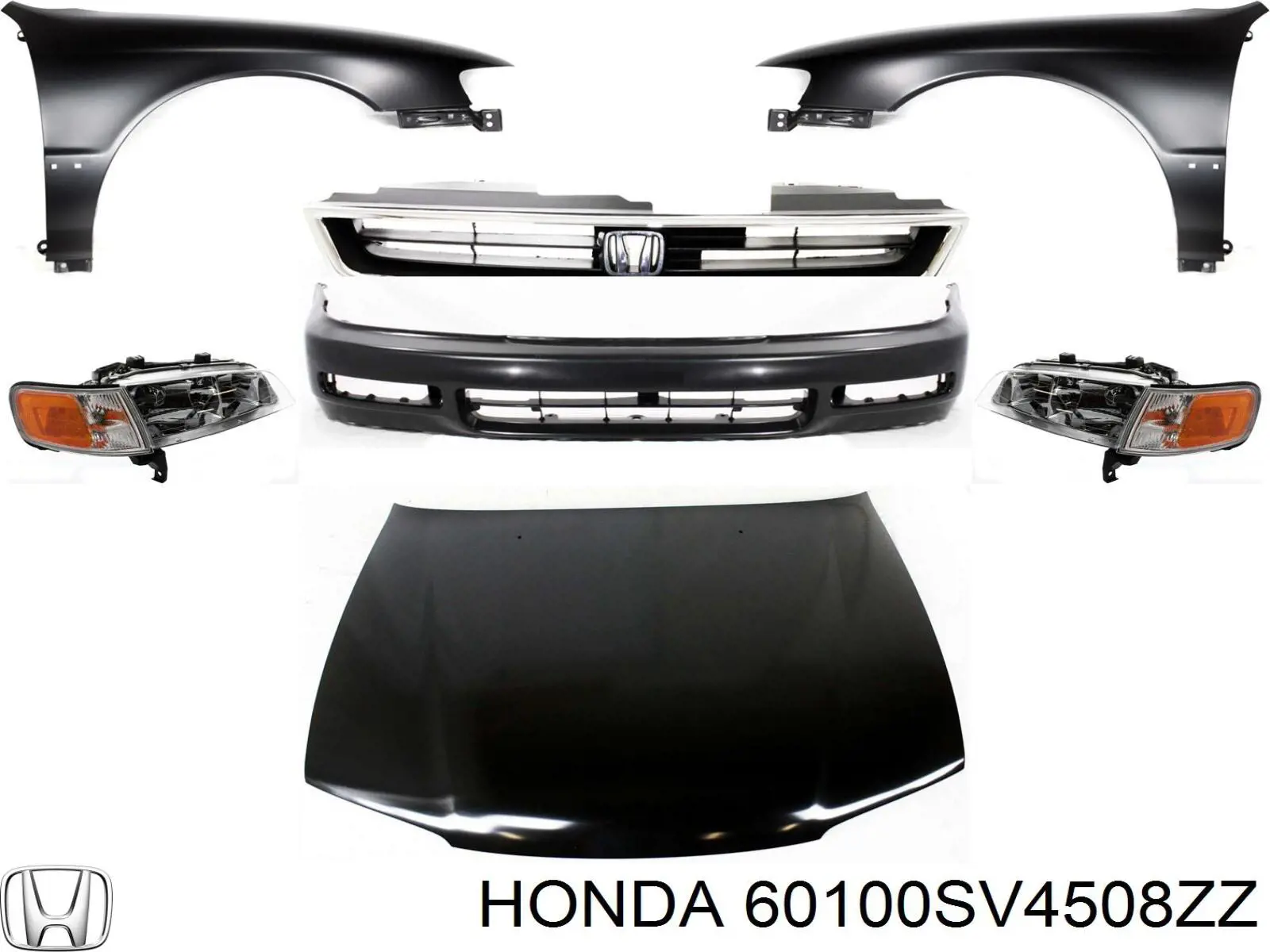Capó del motor para Honda Accord (CE, CF)