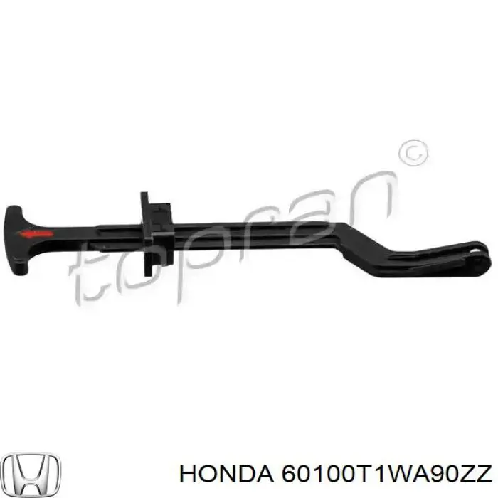 Capó del motor Honda 60100T1GG00ZZ precio, desde 192,50 EUR