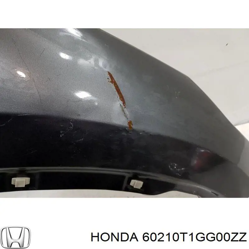 Aleta 60210T1GG00ZZ Honda