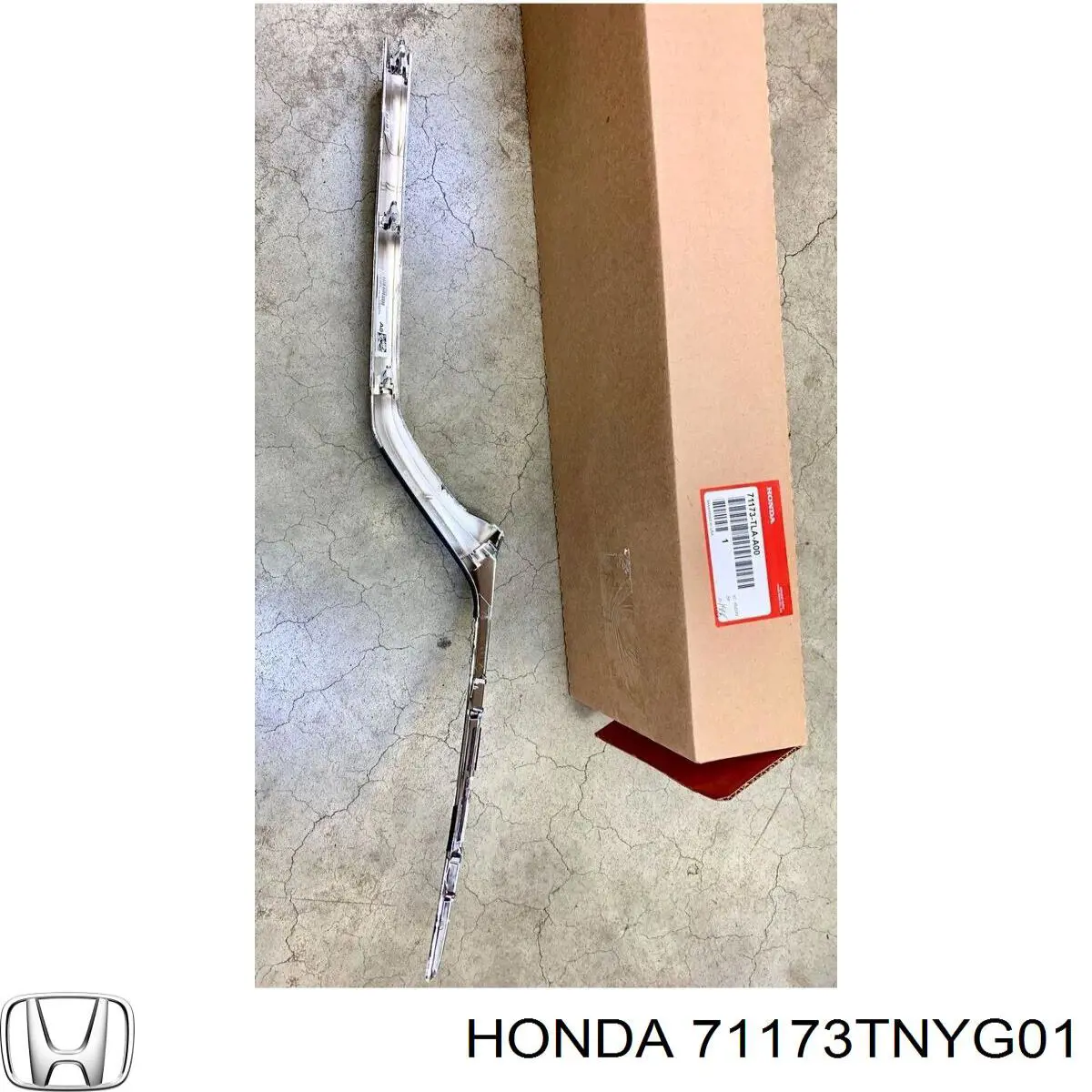 71173TNYG01 Honda