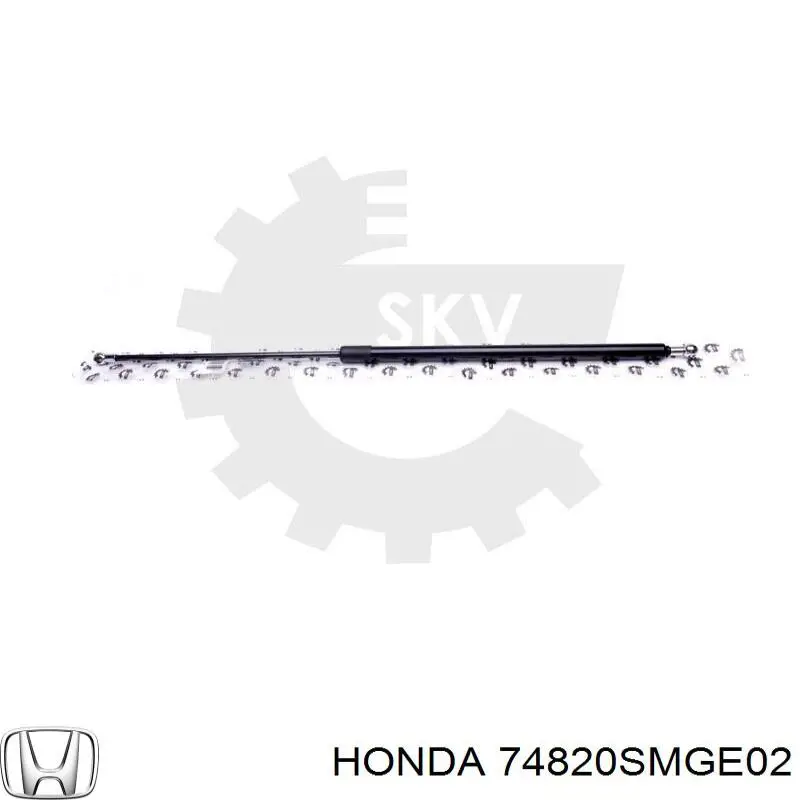 Amortiguador maletero 74820SMGE02 Honda
