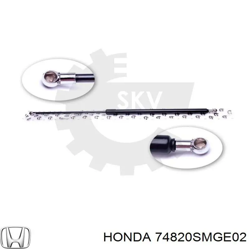 Muelle neumatico maletero Honda 74820SMGE02