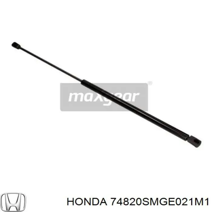 Muelle neumatico maletero Honda 74820SMGE021M1