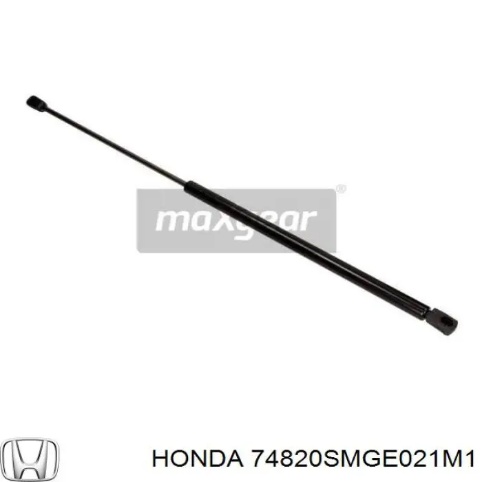 Comprar 74820SMGE021M1 Honda Amortiguador de puerta trasera