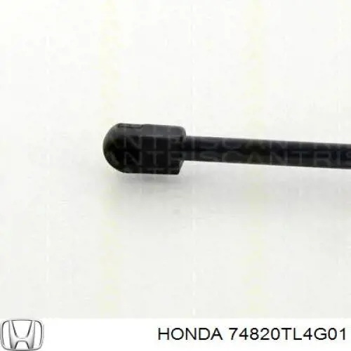 Amortiguador de porton para Honda Accord VIII CW