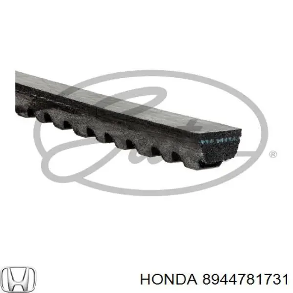 8944781731 Honda correa trapezoidal