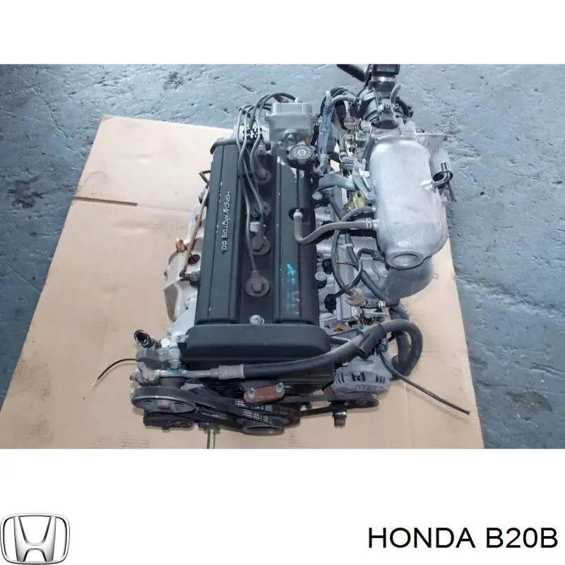 Motor completo Honda B20B precio, desde  EUR