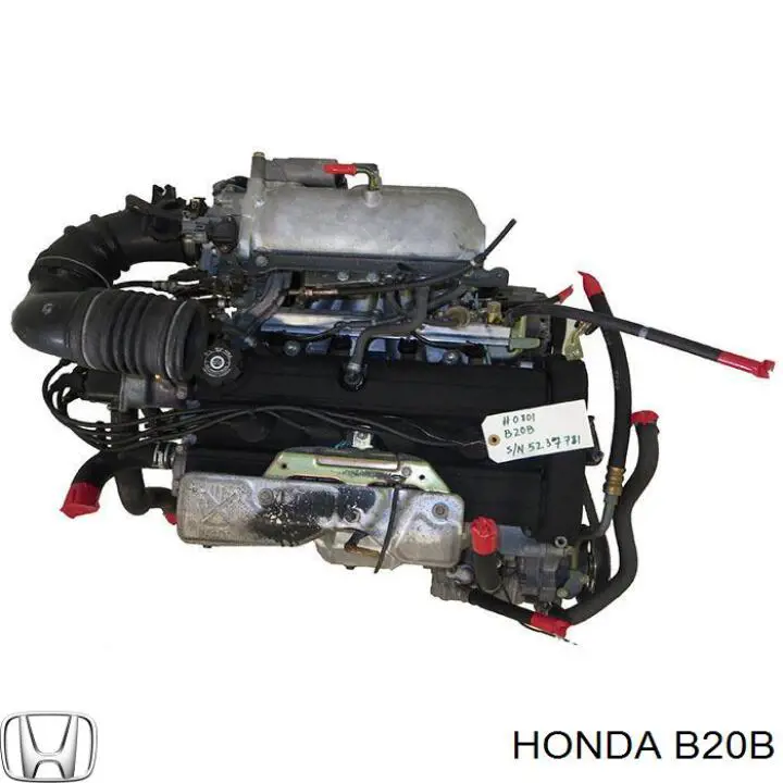Comprar B20B Honda Motor completo