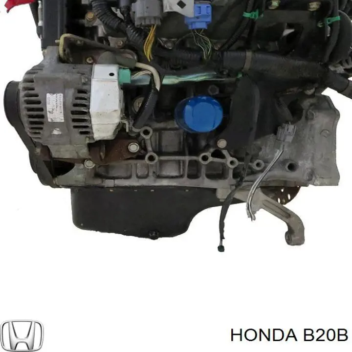B20B Honda Motor completo
