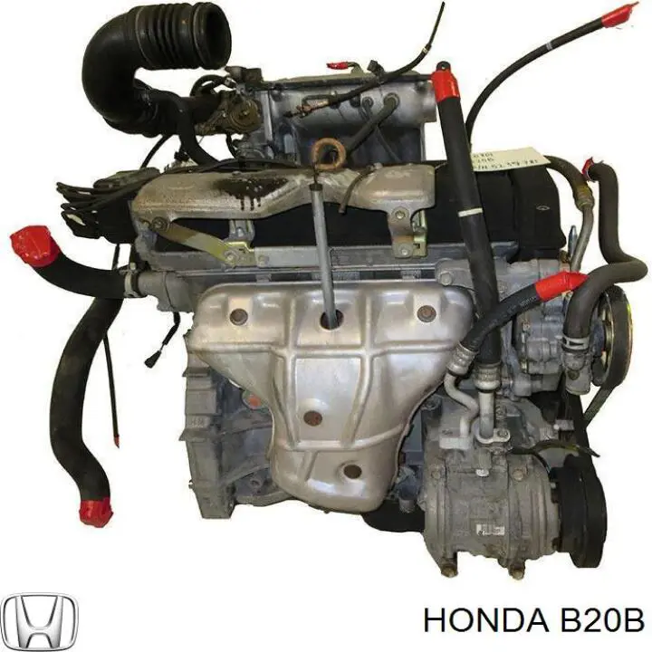 Motor completo B20B Honda