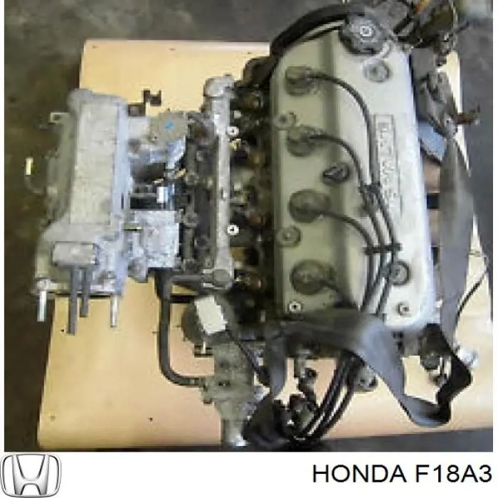 Motor completo para Honda Accord (CE, CF)