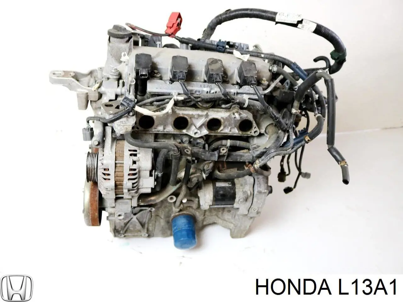 L13A1 Honda Motor completo