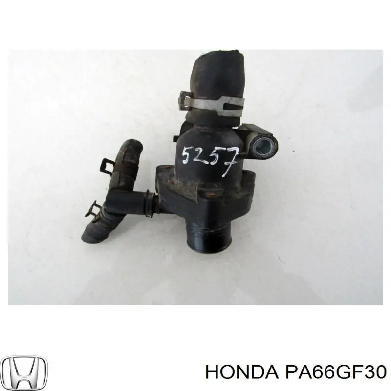 PA66GF30 Honda