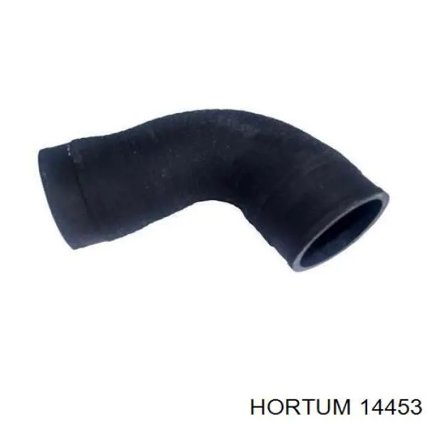 14453 Hortum