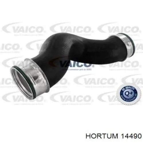 14490 Hortum