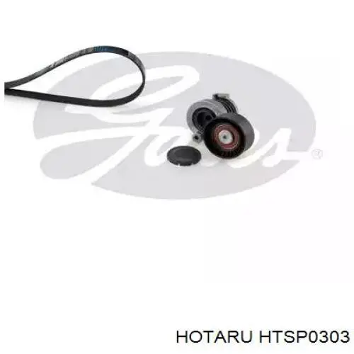 Bomba de dirección HTSP0303 Hotaru
