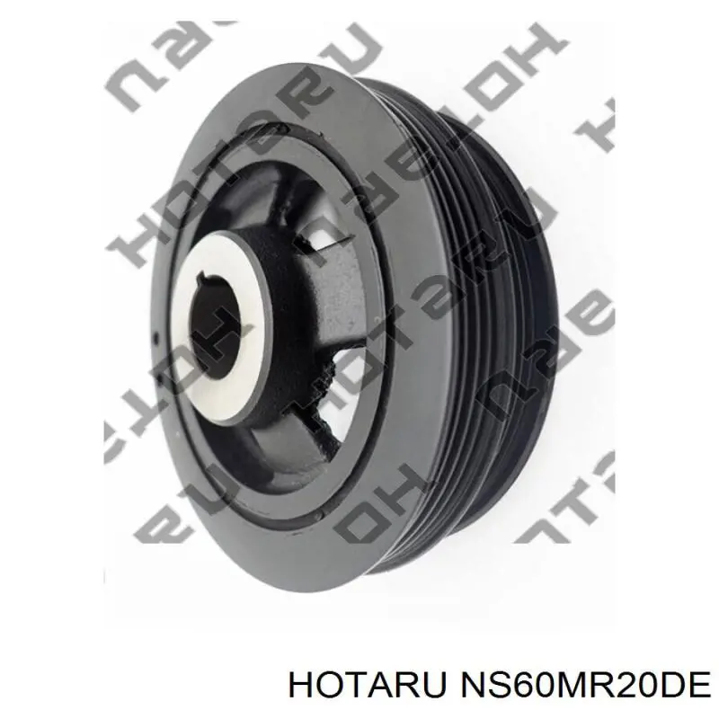 Polea de cigüeñal 12303EN20C Renault (RVI)