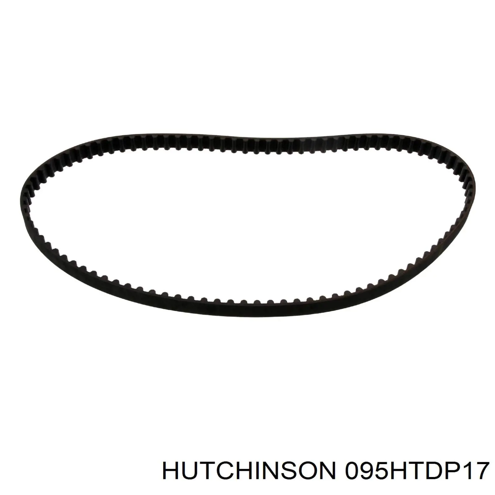 095HTDP17 Hutchinson correa distribucion