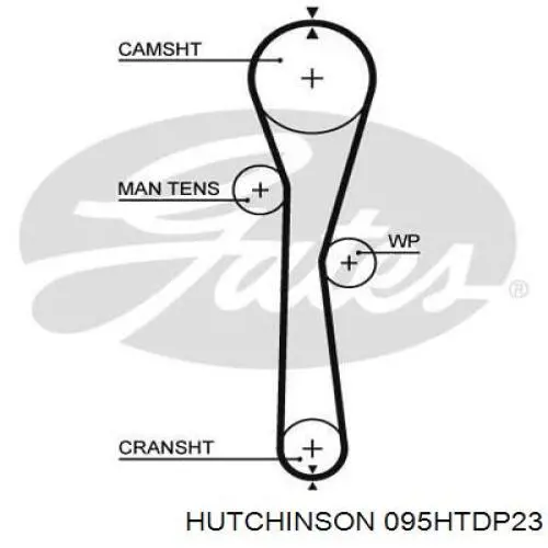 095HTDP23 Hutchinson correa distribucion