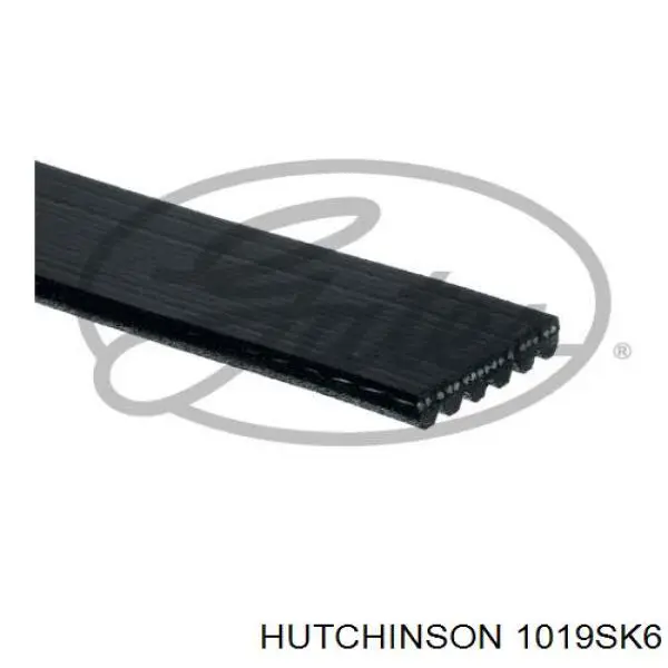 2S6E6C301CA Ford Correa poly v