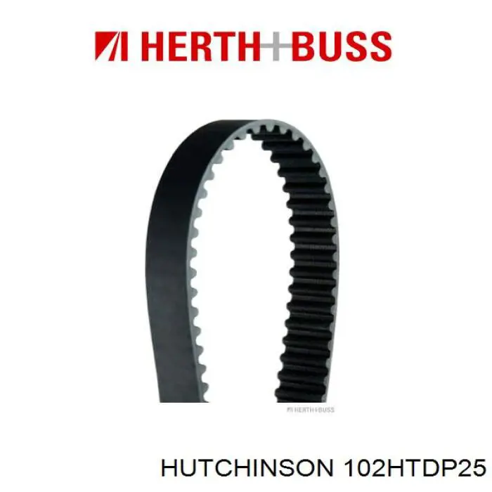 102HTDP25 Hutchinson correa distribucion