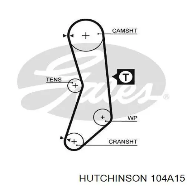 104A15 Hutchinson correa distribucion