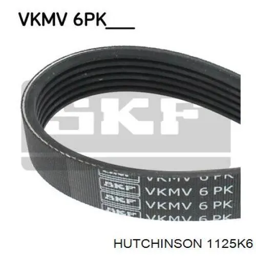 Correa de transmisión trapezoidal Hutchinson 1125K6 precio, desde 11,03 EUR