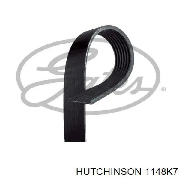1148K7 Hutchinson correa trapezoidal