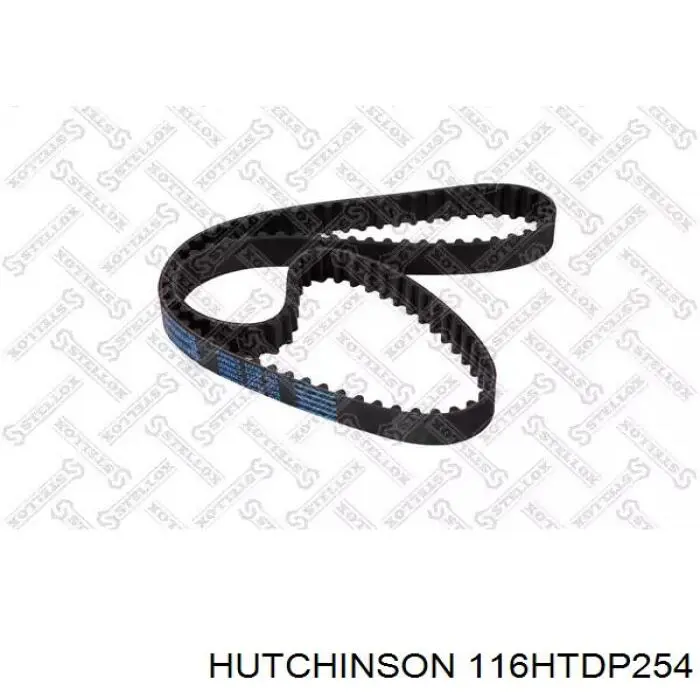 Comprar 00000816G3 Peugeot/Citroen Correa distribución