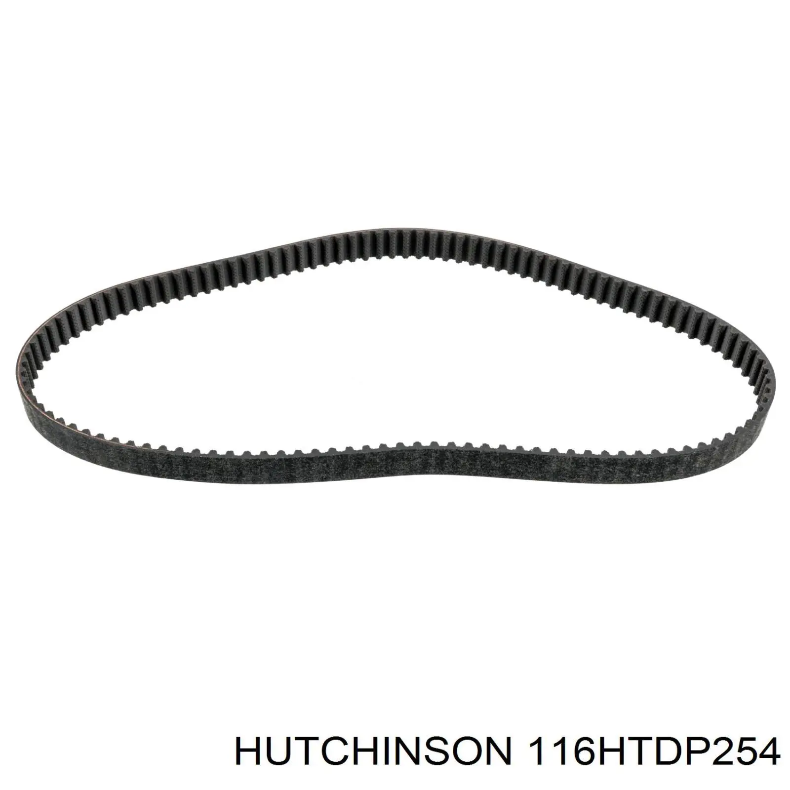 Correa de distribución Peugeot/Citroen 00000816G3 precio, desde 34,11 EUR
